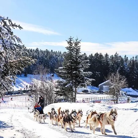Lo Vedelier D'aubrac Apartman Laguiole